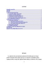 Referāts 'Finanšu analīze', 2.