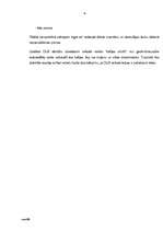 Biznesa plāns 'Biznesa plāns', 10.