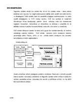 Biznesa plāns 'Biznesa plāns', 15.