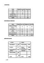 Biznesa plāns 'Biznesa plāns', 21.