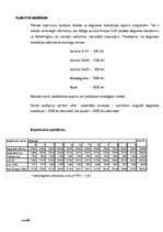 Biznesa plāns 'Biznesa plāns', 22.