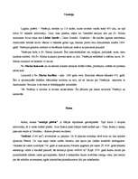 Referāts 'Itālija: tūrisma maršruts', 7.