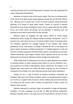 Referāts 'The Possibility of Sustainable Tourism Development in Mountain Tourism', 2.