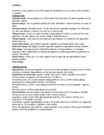 Konspekts 'Atmiņa - psiholoģija', 1.