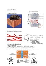 Konspekts 'Būvniecības kontroldarba teorija', 2.