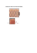 Konspekts 'Būvniecības kontroldarba teorija', 3.