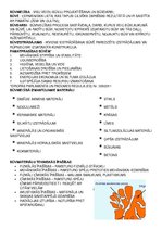 Konspekts 'Būvniecības kontroldarba teorija', 11.