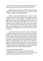 Referāts 'Kriminālatbildība par svešas preču zīmes vai citas preču vai pakalpojumu citādas', 15.