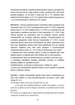 Referāts 'Kriminālatbildība par svešas preču zīmes vai citas preču vai pakalpojumu citādas', 26.