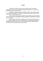 Konspekts 'Svarīgākie starptautiskie cilvēktiesību avoti. Cilvēktiesību institūta attīstība', 4.