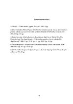 Konspekts 'Svarīgākie starptautiskie cilvēktiesību avoti. Cilvēktiesību institūta attīstība', 16.