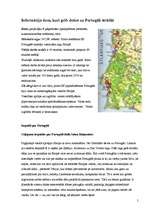 Referāts 'Portugāle - valsts, kur beidzas Eiropa', 7.