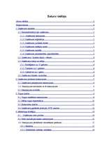 Biznesa plāns 'SIA "Amula"', 2.