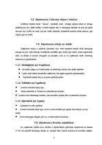 Biznesa plāns 'SIA "Amula"', 6.