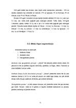 Biznesa plāns 'SIA "Amula"', 10.