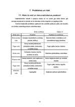 Biznesa plāns 'SIA "Amula"', 24.