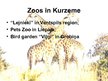 Prezentācija 'Zoos in Latvia', 11.