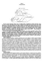 Prezentācija 'Ceļojumu aģentūru datubāzu mārketings', 23.