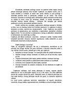 Konspekts 'Izaicinājums līderim', 2.