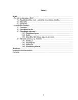 Referāts 'SIA dibināšana', 2.