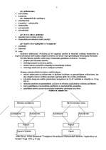 Referāts 'Noliktavu saimniecības organizēšana', 5.