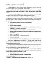 Referāts 'Noliktavu saimniecības organizēšana', 8.