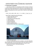 Referāts 'Noliktavu saimniecības organizēšana', 11.