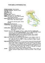 Referāts 'Itālija', 3.