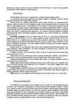 Referāts 'Itālija', 24.