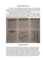 Referāts 'Metālu korozija un aizsardzība pret to', 5.