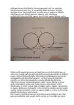 Referāts 'Metālu korozija un aizsardzība pret to', 8.