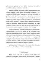 Referāts 'Izplatītākās traumas volejbolā; ārstēšana, profilakse', 5.