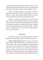 Referāts 'Izplatītākās traumas volejbolā; ārstēšana, profilakse', 6.