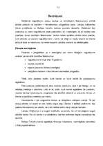 Referāts 'Pilngadības depozīts', 12.