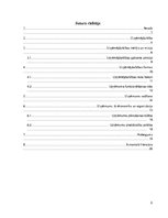 Referāts 'Stratēģijas un biznesa politikas loma uzņēmuma vadīšanā', 2.