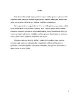 Referāts 'Stratēģijas un biznesa politikas loma uzņēmuma vadīšanā', 3.