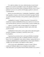 Referāts 'Stratēģijas un biznesa politikas loma uzņēmuma vadīšanā', 5.