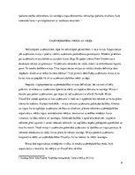 Referāts 'Stratēģijas un biznesa politikas loma uzņēmuma vadīšanā', 6.