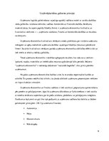 Referāts 'Stratēģijas un biznesa politikas loma uzņēmuma vadīšanā', 9.