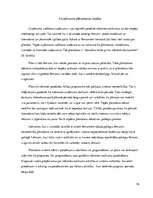 Referāts 'Stratēģijas un biznesa politikas loma uzņēmuma vadīšanā', 16.