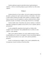 Referāts 'Stratēģijas un biznesa politikas loma uzņēmuma vadīšanā', 19.