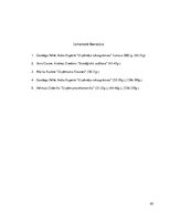 Referāts 'Stratēģijas un biznesa politikas loma uzņēmuma vadīšanā', 20.