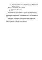 Referāts 'Depresija jauniešu vidū', 6.