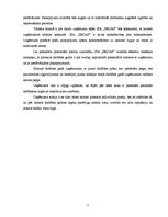 Biznesa plāns 'Biznesa plāns tūrisma jomā', 7.