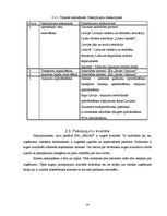 Biznesa plāns 'Biznesa plāns tūrisma jomā', 14.