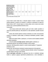 Biznesa plāns 'Biznesa plāns tūrisma jomā', 20.