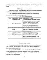 Biznesa plāns 'Biznesa plāns tūrisma jomā', 21.