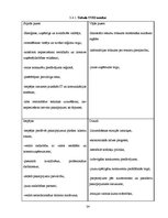 Biznesa plāns 'Biznesa plāns tūrisma jomā', 24.