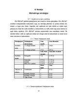 Biznesa plāns 'Biznesa plāns tūrisma jomā', 26.