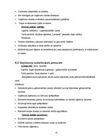 Biznesa plāns 'Biznesa plāns tūrisma jomā', 42.